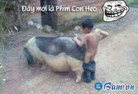 Download